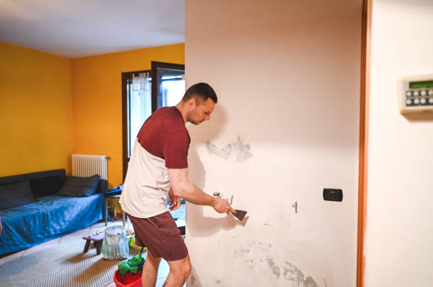 Best Residential Mold Removal  in Dunlap, IA